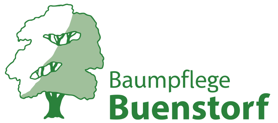 Baumpflege und Sachverständiger